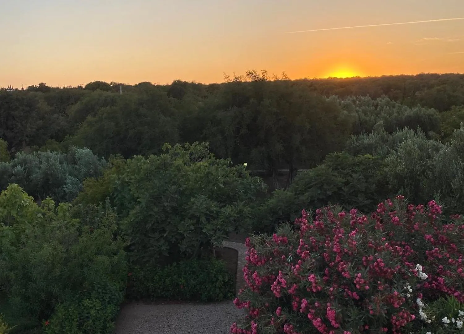 Hotel Villa Apollonia - Blissful Garden Paradise With Pool Nestled In Nature Essaouira Maroc